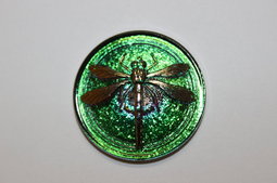 Free Button - size 30 mm