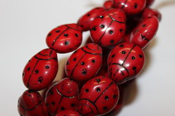 Ladybug 20x16 mm shine/black