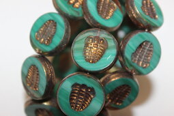 Trilobite 18 mm combinations/shine/bronze
