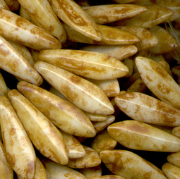 Daggers 16x5 mm picasso